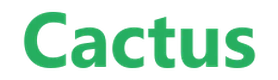 Cactus Casino